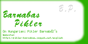 barnabas pikler business card